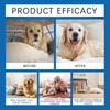  Anti Chew Spray for Dogs Prevents Damage to Furniture and Couch Wooden Legs Indoors