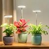 LED Indoor Angel Ring Plant Growth Light 2/4/8H On/Off Timer USB 5V Retractable Height Full Spectrum Simulated Sunlight Plant