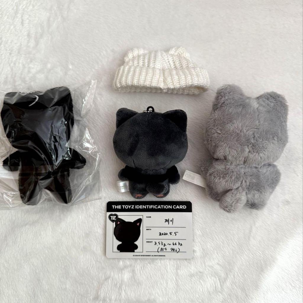 [USED] The Boyz Zeneration Juyeon Plush Toy Trading Card Set