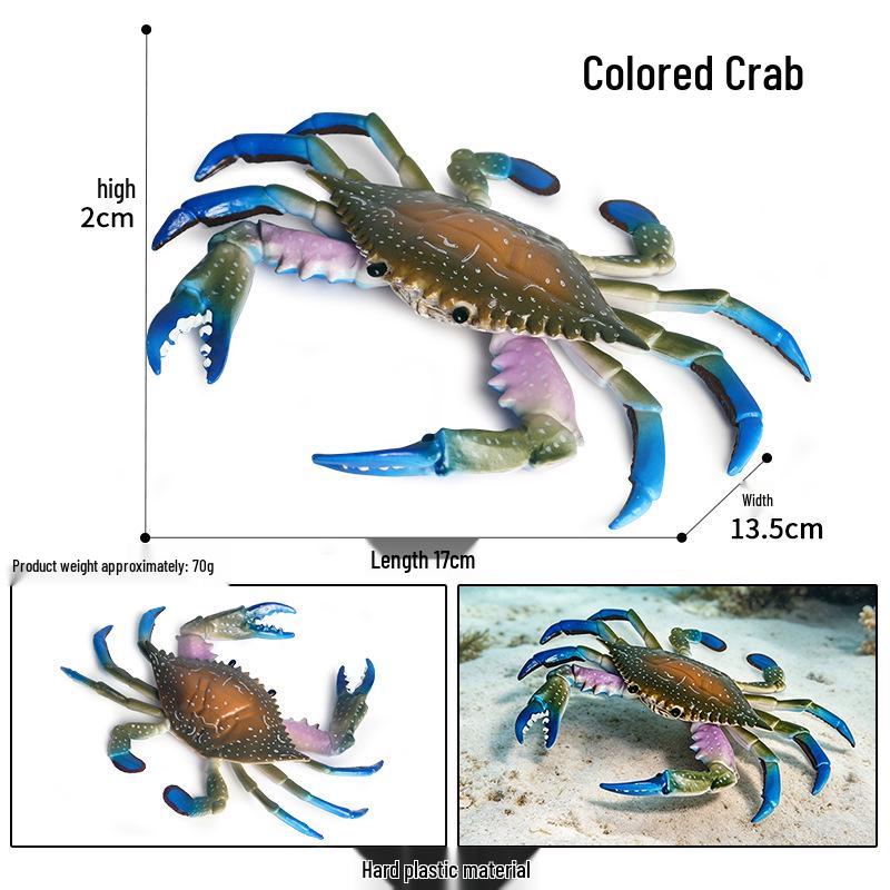 Ocean Crab Simulation Toy Set: Includes Hermit, Swimming, and Three-Spot Plastic Models