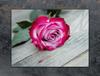 PIANO COTTURA PROTETTIVO IN VETRO 70x52 ROSA