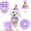 Haustier-Geburtstagsparty-Zubehör-Set Rock Hut Fliege für Hunde und Katzen Welpenparty-Geschenk Alles für Haustiere Großhandel