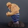 Anime  Figure Gk Muscle Master Roshi Goku Kame Sennin Figurine Pvc Action Figure Model Children Dolls Gift Toys
