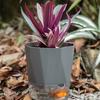 Breathable Holes Visible Water Level Flower Pot Lazy Automatic Water-Absorbing Flowerpot Garden Supplies