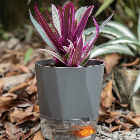 Breathable Holes Visible Water Level Flower Pot Lazy Automatic Water-Absorbing Flowerpot Garden Supplies