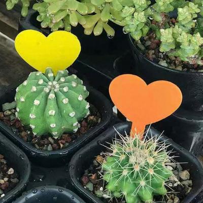 100Pcs Heart Shape Plant Tags Waterproof Gardening Labels Reusable Plastic Plant Markers for Plant Pots Flower Beds Herb Gardens