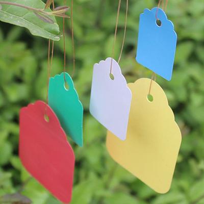100 Stück Gartenpflanzenetiketten Plastikpflanzenetiketten Baumschulkennzeichen Blumentöpfe Samen