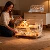 Hamster Cage 2-Layer Clear Acrylic Pet Habitats Hamster Enclosure With Accessories Luxury Villa For Syrian Dwarf Gerbil Mouse