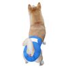 Breathable mesh hole pet physiological pants, Velcro female dog panties, adjustable waistline dog polite belt hot sale