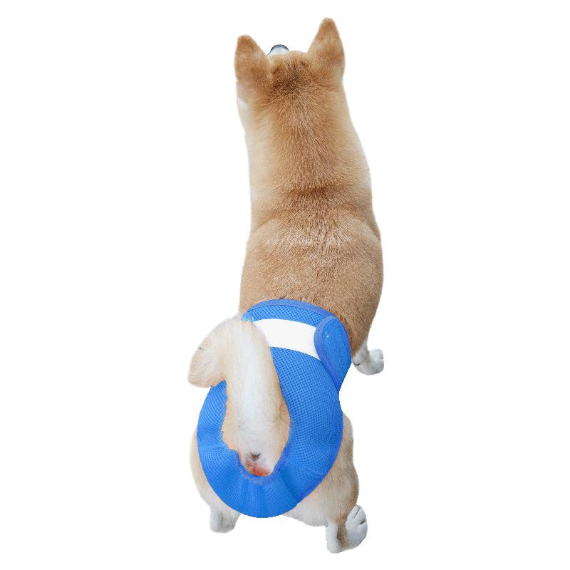 Breathable mesh hole pet physiological pants, Velcro female dog panties, adjustable waistline dog polite belt hot sale