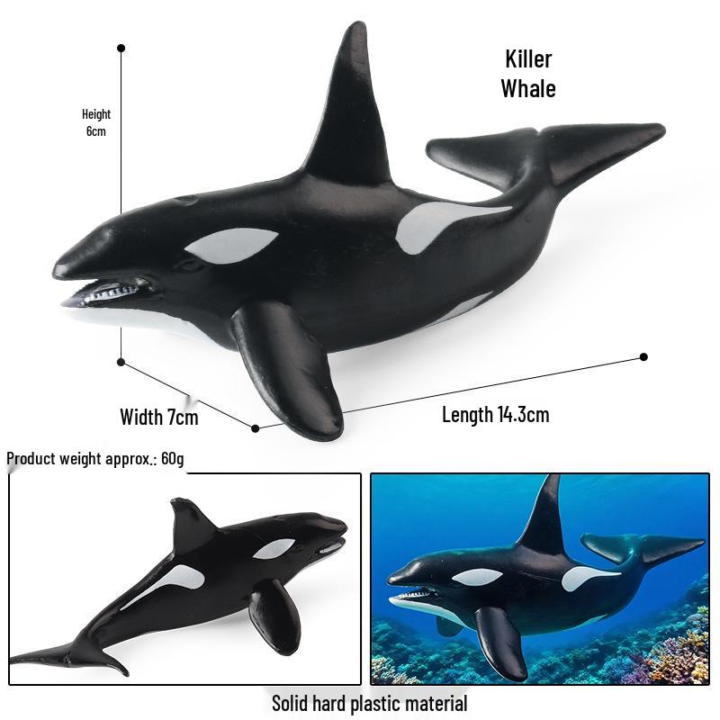 Cognitive Ocean Animal Model Toy - Salmon, Bass, Tuna, Marlin, Shark