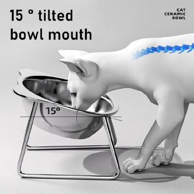Elevated Cats Bowl Whiskers Friendly,Stainless Steel Cats Food Bowl Raised Cats Dishes for Food and Water Kitten Food Bowl