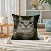 Pet Cat Funny Memes Pillow Case Silky Elegant Comfort Sofa Bed Invisible Zipper