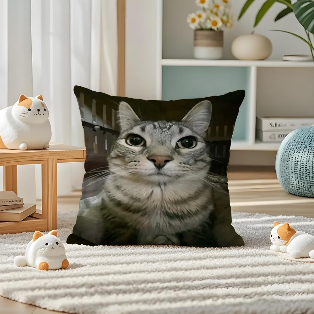 Pet Cat Funny Memes Pillow Case Silky Elegant Comfort Sofa Bed Invisible Zipper