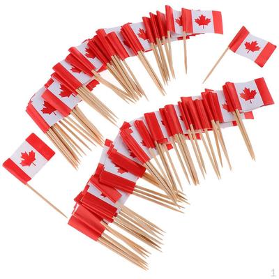 Toothpicks Decorative Party Food Decorations For Sandwiches, Burgers, Cupcakes Toppers