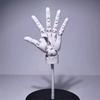 Articulated Hand Model Drawing Figurine Sketch Artist Painting Sculpture Hand Finger Joint Figurine Figma Doll House Decoration
