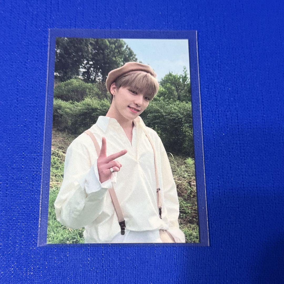 

[USED] Dino Seventeen Sanok