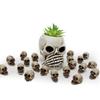 Mini Skulls Decor Skeleton Head 20 Pieces Small Mini Skulls Special Decoration Realistic Skeleton Skulls Crafts Decoration