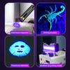 DARKBEAM Flashlight UV Black Light 395 NM, Mini but Powerful USB- C LED Rechargeable Woods Lamp, Ultraviolet Flashlights for Pet Urine, Stains