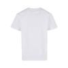 Build Your Brand Mens Sorona Regular T-Shirt