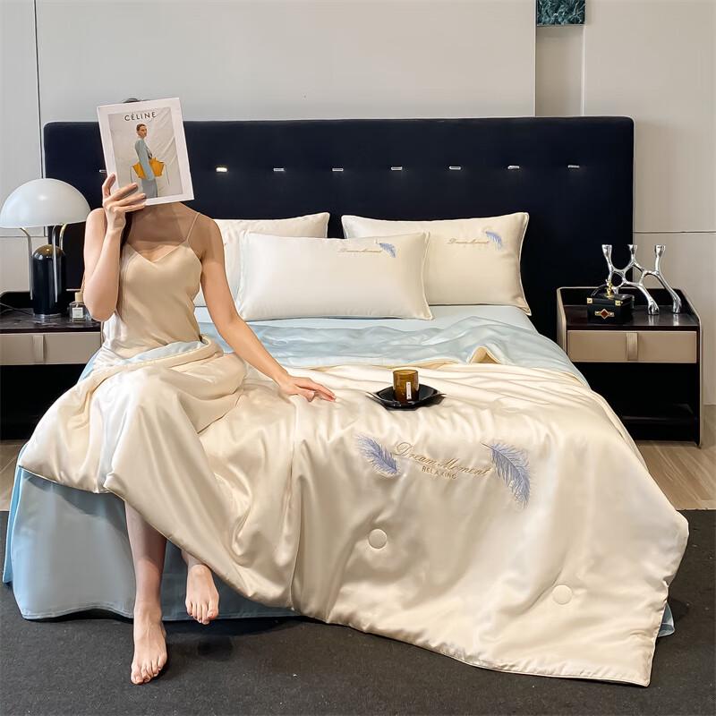 Aosmeng Ice Silk Embroidered Summer Quilt