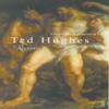 Euripides Alcestis by Ted Hughes Paperback Book 9780571205806