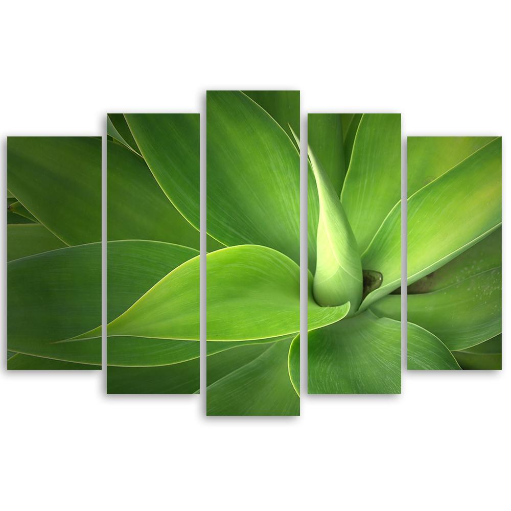 Five Piece Picture Canvas Print Green Leaf Plants