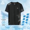 Men's PEAK Sports Quick-Dry Ice Silk Fitness T-Shirt - Short Sleeve Summer Top