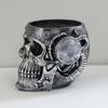 Skull Planter Spooky Gothic Display Pen Holder Skull Flower Pot Head Planter for Indoor Outdoor Home Bedroom Living Room Kitchen
