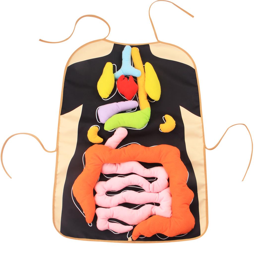 Kids' Cognitive Body Puzzle: Enhance Hands-On Skills & Brain Development for Early Education