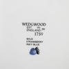 Wedgwood Strawberry Ink Blue 20cm Plate, [Used]