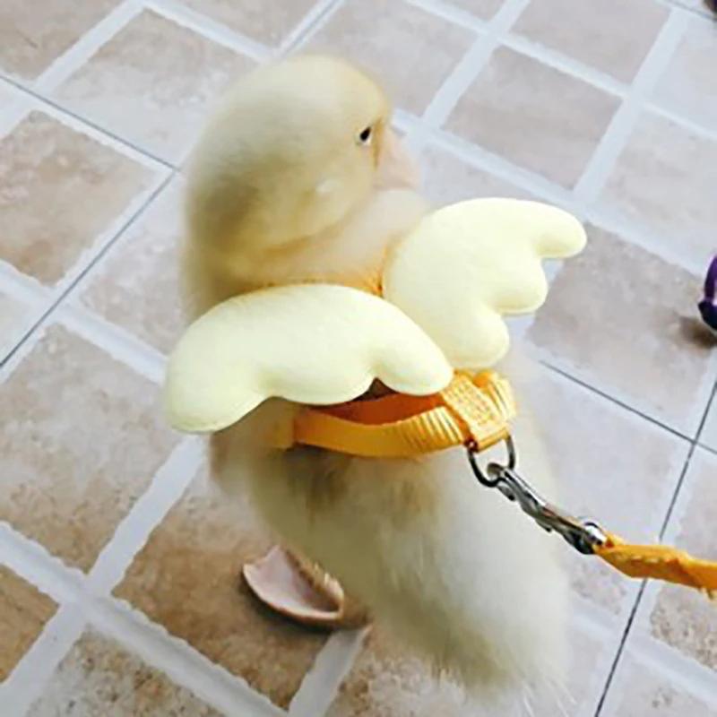 Adjustable Harness Leash Rope Cat and Dog For Duck Small Animals Training Walking Towing Rope Pet Supplies