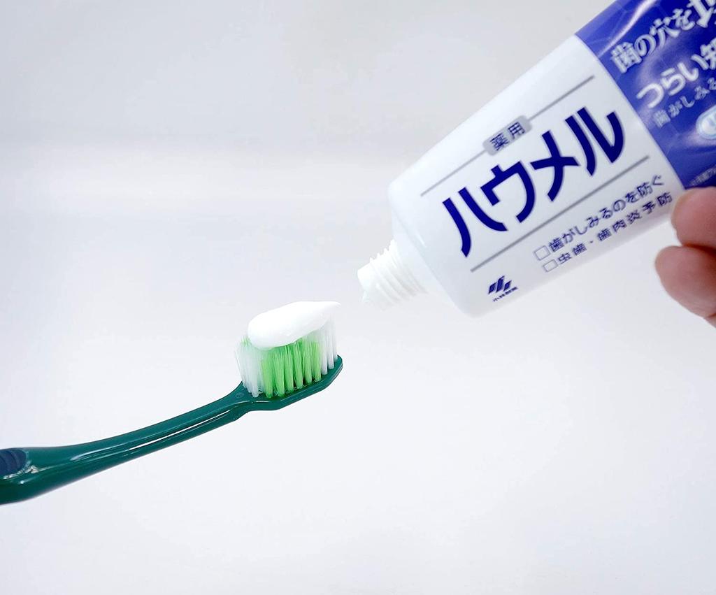 Haumel Sensitive Teeth Care Medicated Toothpaste 100g x 2 Fills holes in teeth Kobayashi Pharmaceutical [Quasi-drug]