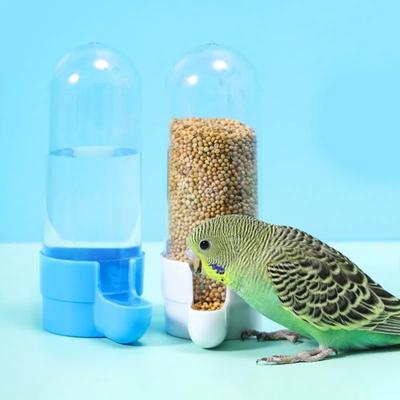 Comedero colgante para mascotas, dispensador de agua para ardillas y loros, caja de comida para pájaros, accesorios para jaulas, suministros para pájaros