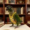 Verstellbare Vogel-Fluganzüge Atmungsaktives Ausbruchsicheres Papageien-Fluggeschirr Kotbeutel Papageien-Außenleinen Vogelzubehör