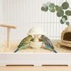 Jijijing Mushroom Bird Feeding Bowl, No Mess Pet Cage Feeder, Covered Food or Water Bowl for Small Animals Budgie Cockatiel Hamster