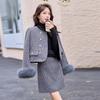 Down Suit Skirt Autumn and Winter New Small Temperament Socialite Fox Skirt