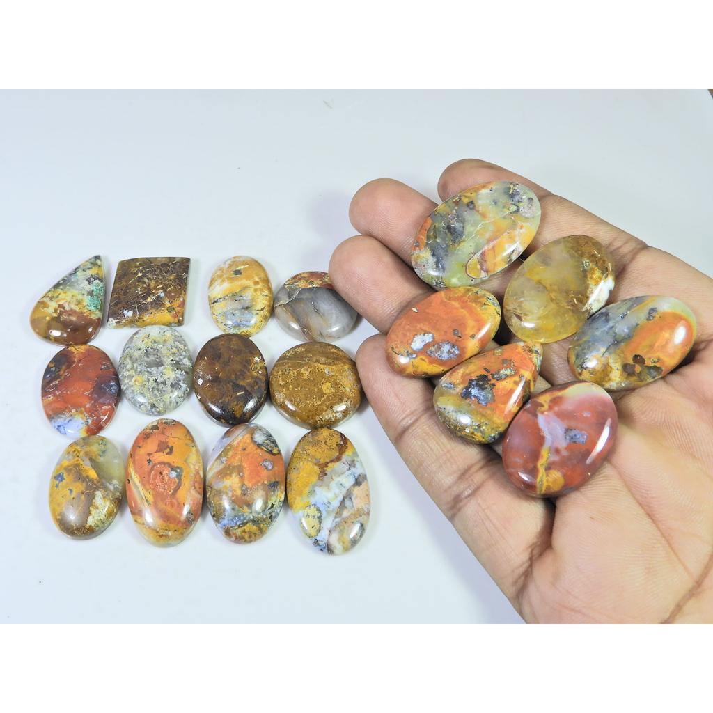381Cts. Natural Forest Agate Mix Cabochon Loose Gemstone 18 Pcs Lot C-1961