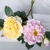 Artificial Peony with Green Leaves 2 Head Realistic Fake Silk Flower