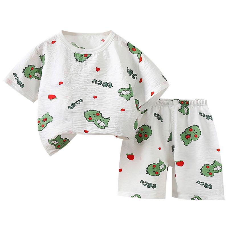 Summer Dinosaur Cartoon Boys Girls Short Sleeve Shorts Set With Soft Cotton For Toddler Play