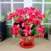 Phalaenopsis Silk Flower Arrangement in Red Ceramic Pot for Indoor Decoration or Weddings