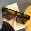 Outdoor Sports One Piece Cycling Sunglasses For Men's And Women's Large Frame Water Silver Cyberpunk Motorcycle Mirror Shades UV Resistant