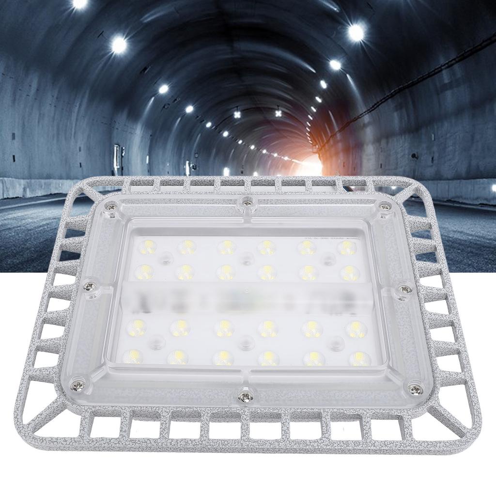 LED Explosion Proof Light 50W 5500LM 5000K High Brightness IP65 Water Resistant Die Cast Aluminum LE