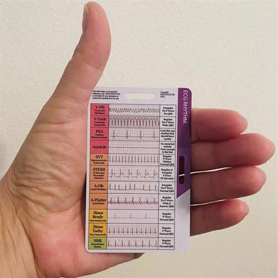 Ecg/Ekg Rhythm Pocket Card Double Sided Design Ekg Rhythm Interpretation Badge Card Ecg Rate Pocket Cards Ekg Calipers