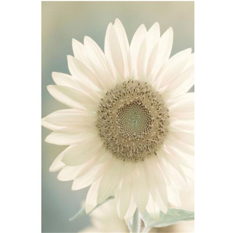 5D DIY Elmas Boyama Kaplan Mavi Gökyüzü Altında Elmas Nakış Çapraz Dikiş Kiti Tam Taklidi Mozaik Ev Dekor