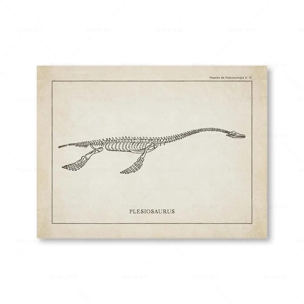 

Холст Живопись Скандинавские Постеры и Принты Винтажный Скелет Динозавра Палеонтология Настенное Искусство Настенные Картины Для Мальчика Детская Комната Декор 21cm×30cm NoFrame