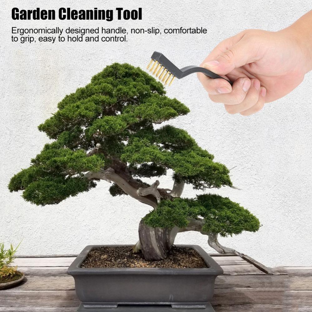 6PCS Metal and Plastic Construction Industrial Wire Brushes Curved Rust Remover Brush  Bonsai Brush