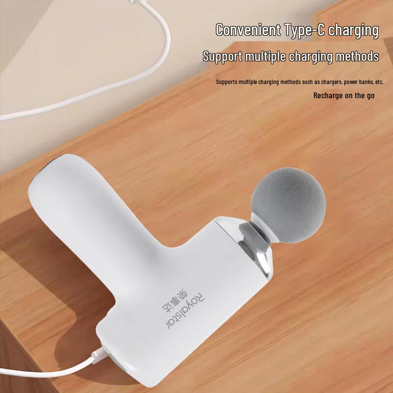 Royalstar RT-1802 Fascia Gun