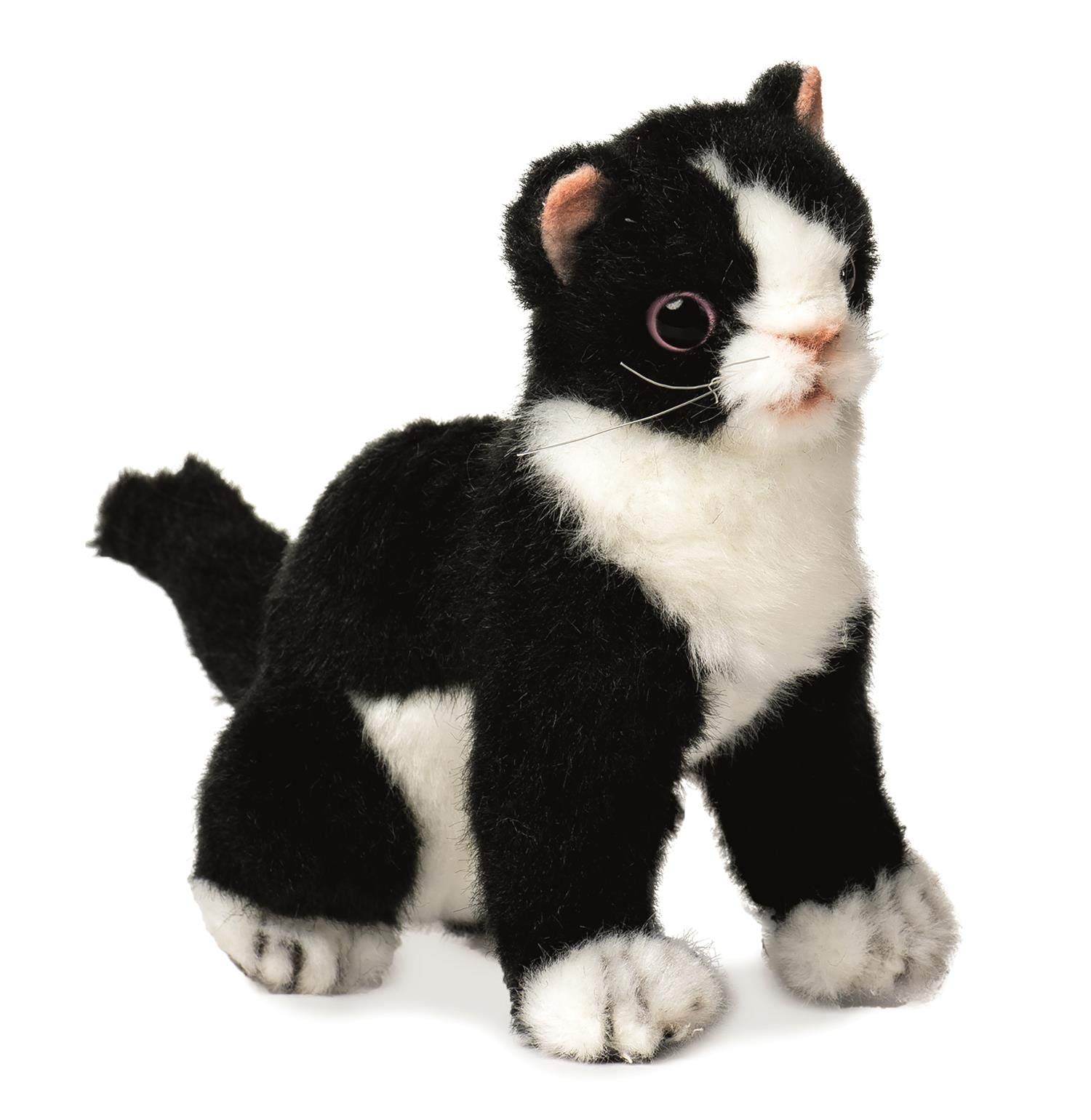 

Koneko Black 16 No.6487