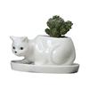 Cartoon Animal Succulent Flower Pot Creative Desktop Plant Cactus Ceramic Flower Pot With Tray